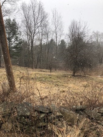 24.4 Torrey Road Southbridge, MA 01550 - Photo 4 of 5 a view of yard with trees