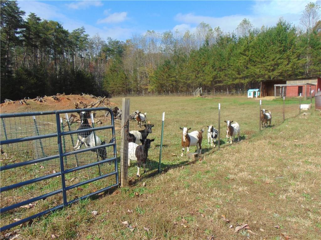 10690 Haystack Road Thurmond, NC 28683 - Photo 15 of 17 Gallery Image 15