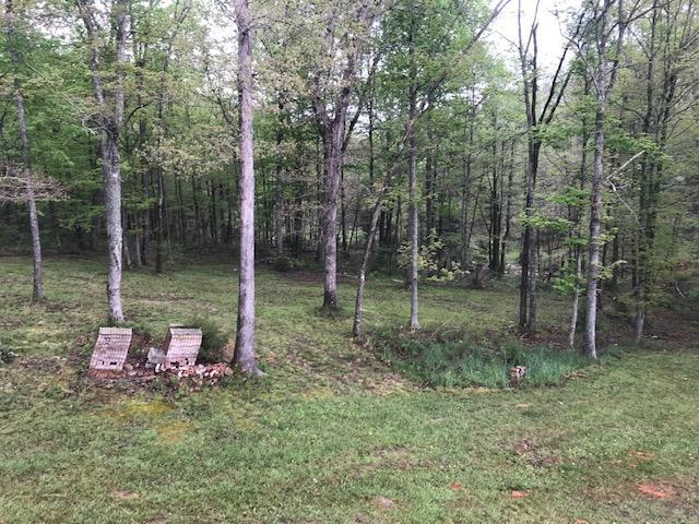 170 Nature Valley Road Somerset, KY 42501 - Photo 21 of 22 IMG_2505