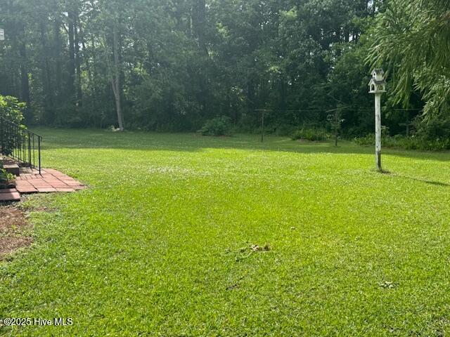 1060 Taylor Road Chocowinity, NC 27817 - Photo 19 of 23 Back yard