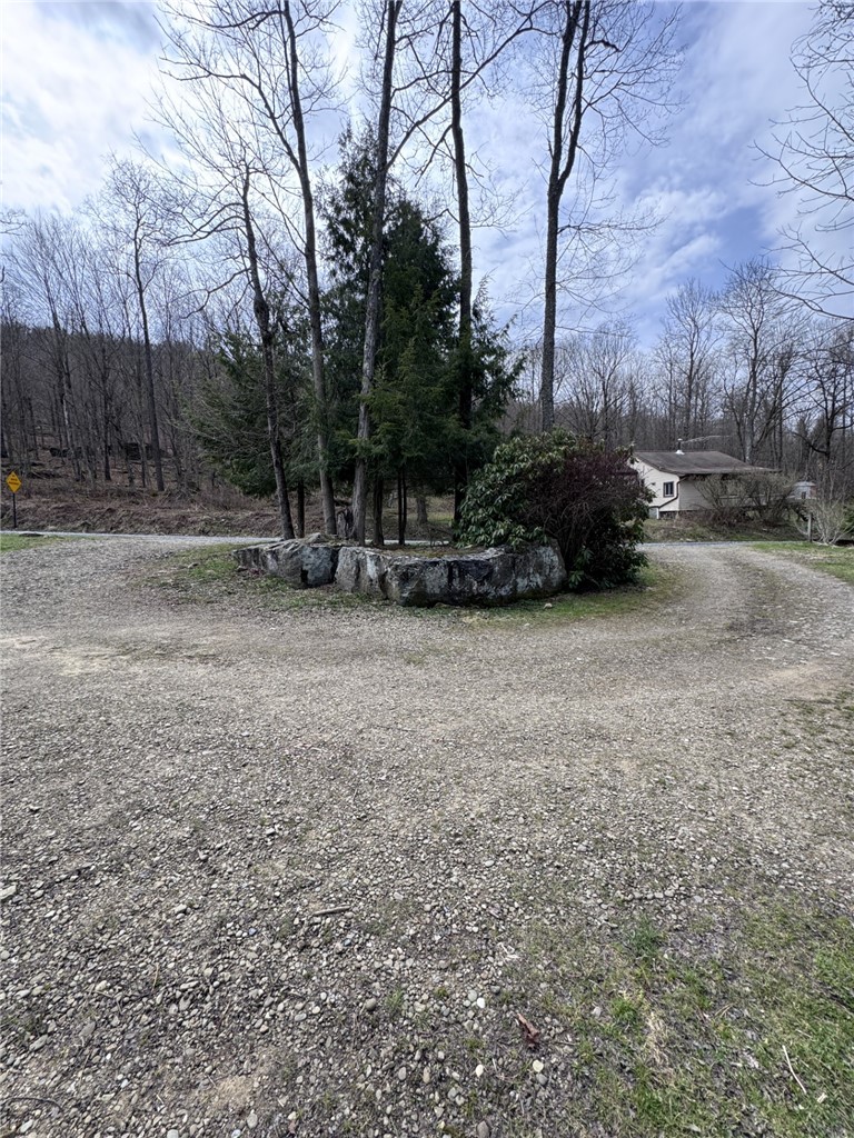 987 Bloomster Hollow Road Smethport, PA 16749 - Photo 40 of 49