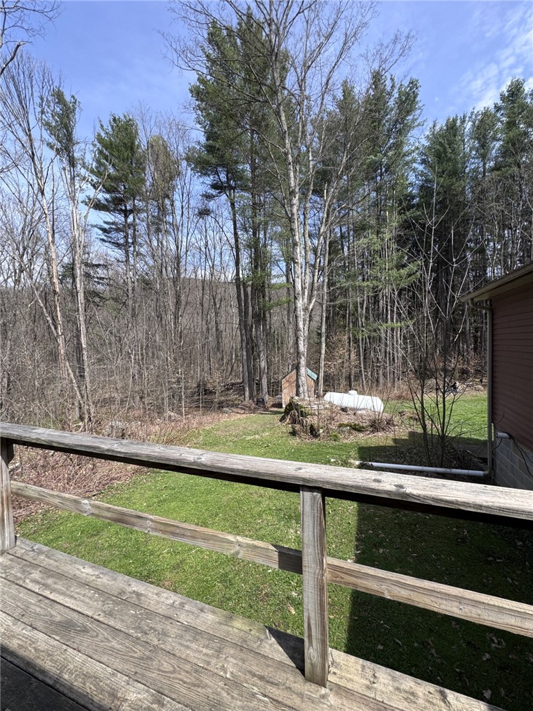 987 Bloomster Hollow Road Smethport, PA 16749 - Photo 42 of 49