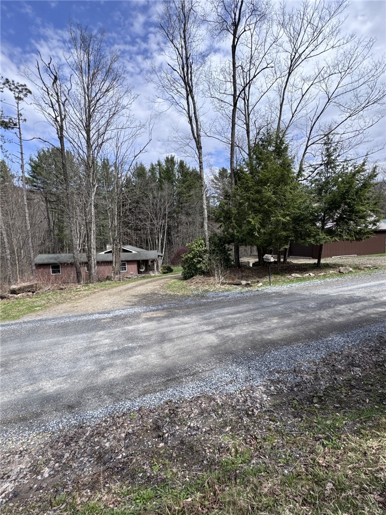 987 Bloomster Hollow Road Smethport, PA 16749 - Photo 46 of 49