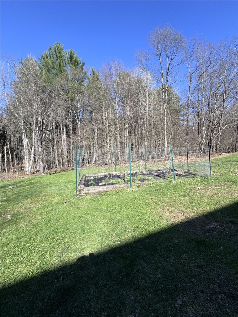 987 Bloomster Hollow Road Smethport, PA 16749 - Photo 49 of 49