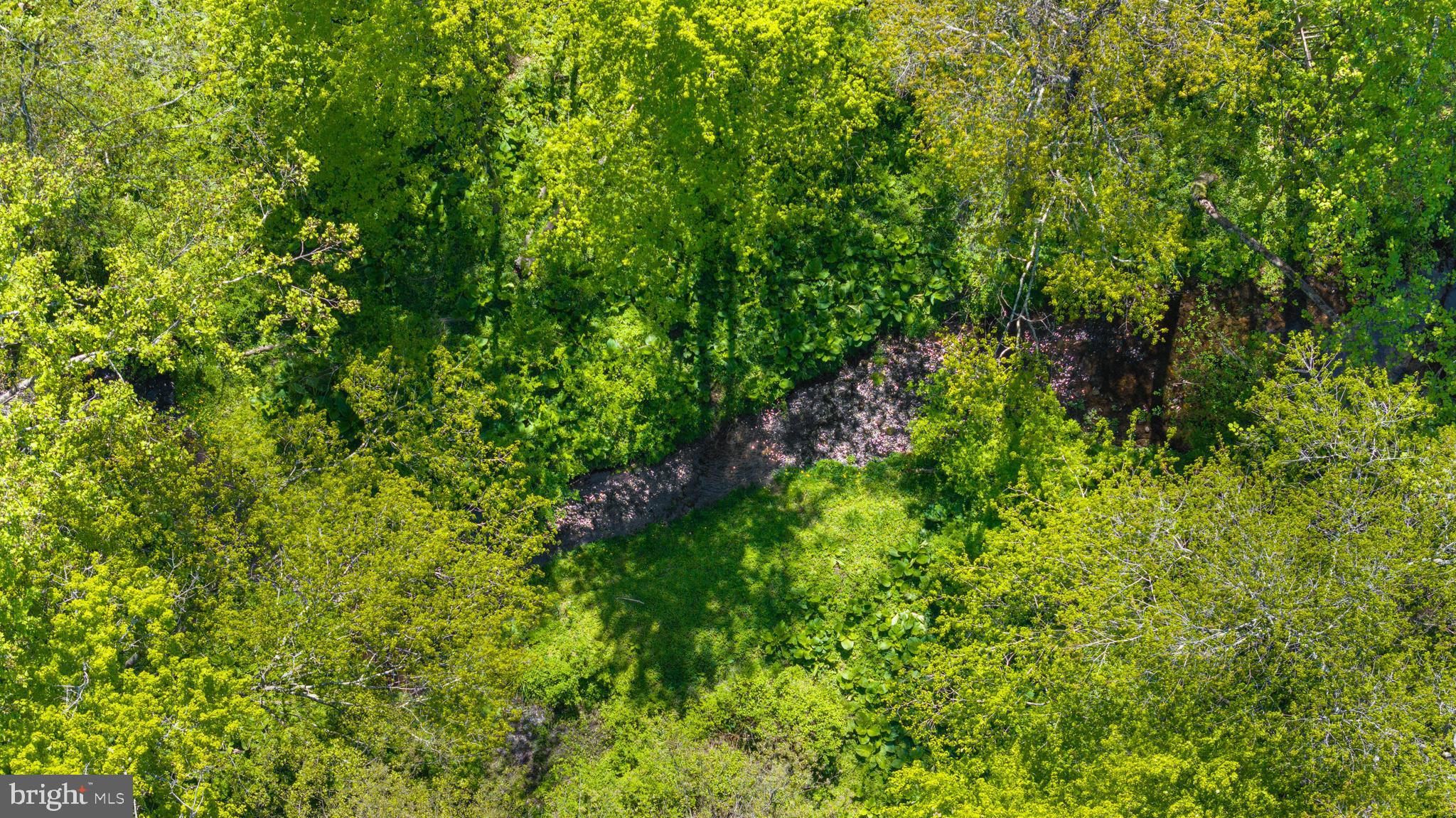 2707 Spring Hill Road Pikesville, MD 21208 - Photo 3 of 7