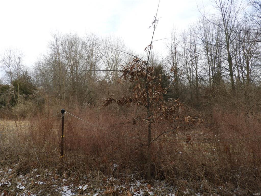 0 Yaeger Lake Trail Butler, IL 62015 - Photo 2 of 8 Gallery Image 2