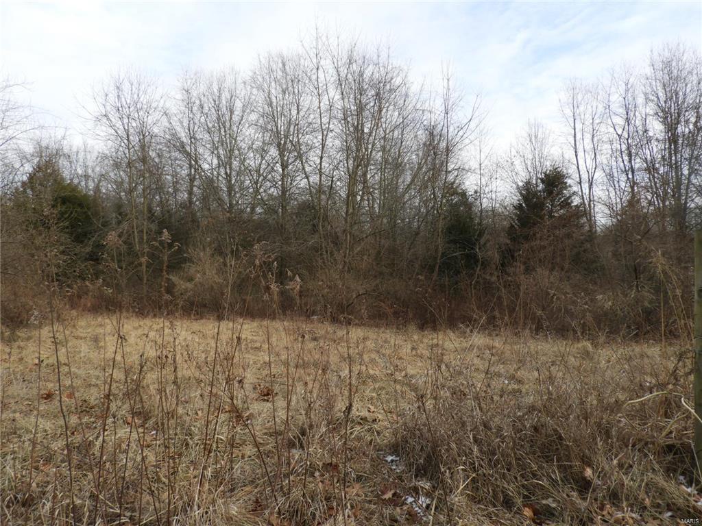 0 Yaeger Lake Trail Butler, IL 62015 - Photo 4 of 8 Gallery Image 4