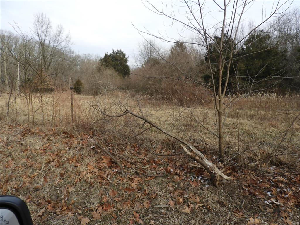 0 Yaeger Lake Trail Butler, IL 62015 - Photo 5 of 8 Gallery Image 5