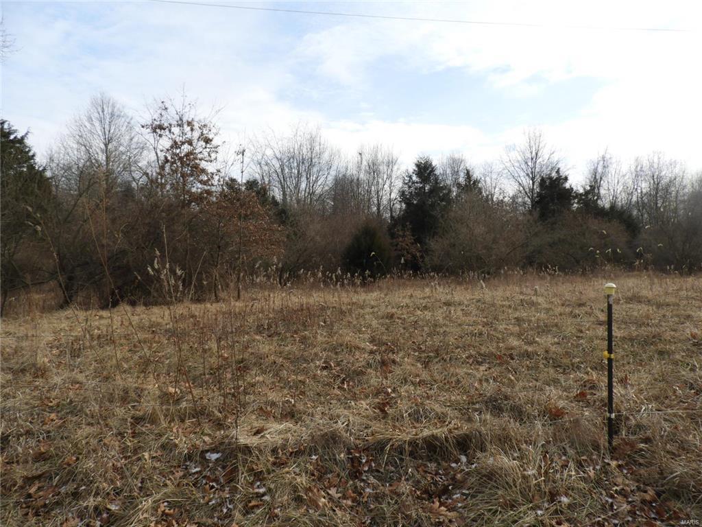 0 Yaeger Lake Trail Butler, IL 62015 - Photo 6 of 8 Gallery Image 6