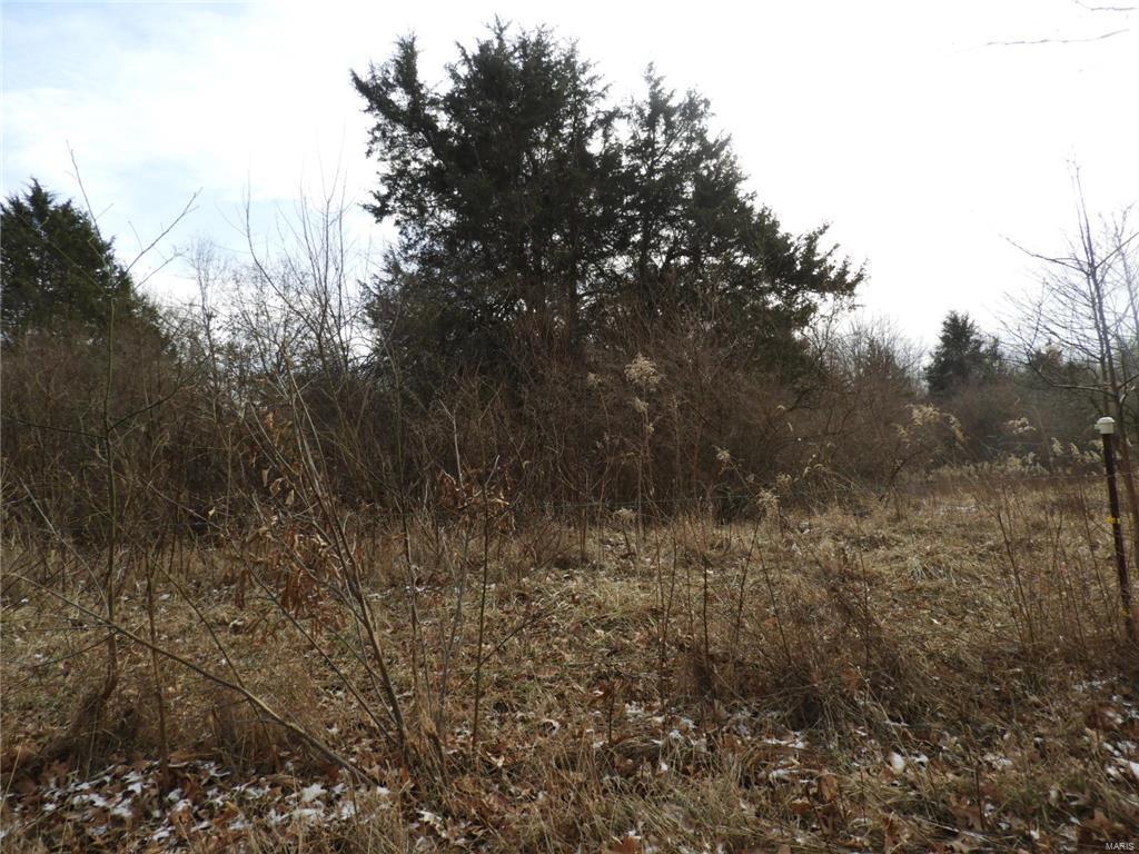 0 Yaeger Lake Trail Butler, IL 62015 - Photo 7 of 8 Gallery Image 7