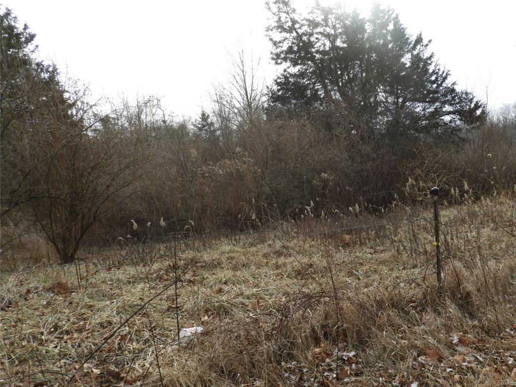0 Yaeger Lake Trail Butler, IL 62015 - Photo 8 of 8 Gallery Image 8
