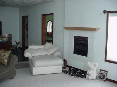 336 West Hayner Road Union City, MI 49094 - Photo 3 of 9 Additional Photo