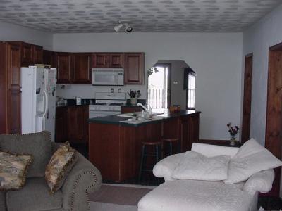 336 West Hayner Road Union City, MI 49094 - Photo 4 of 9 Additional Photo