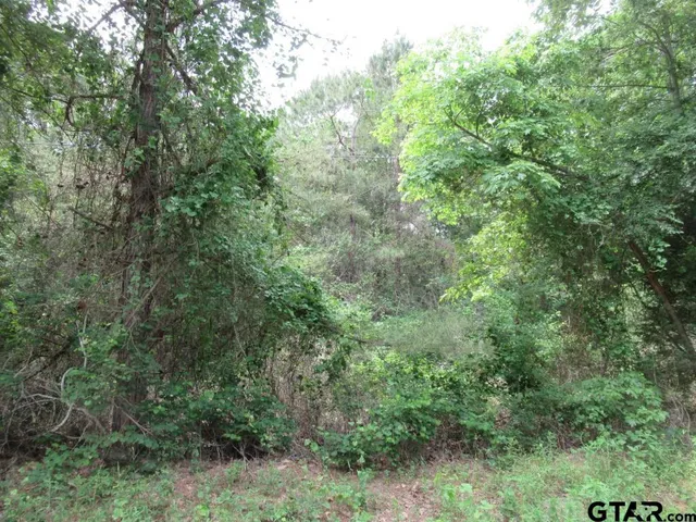 an aerial view of a forest with houses