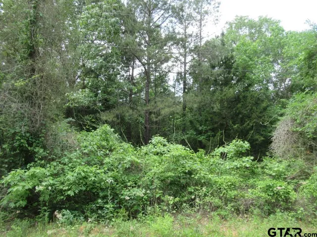 a view of a city with lush green forest