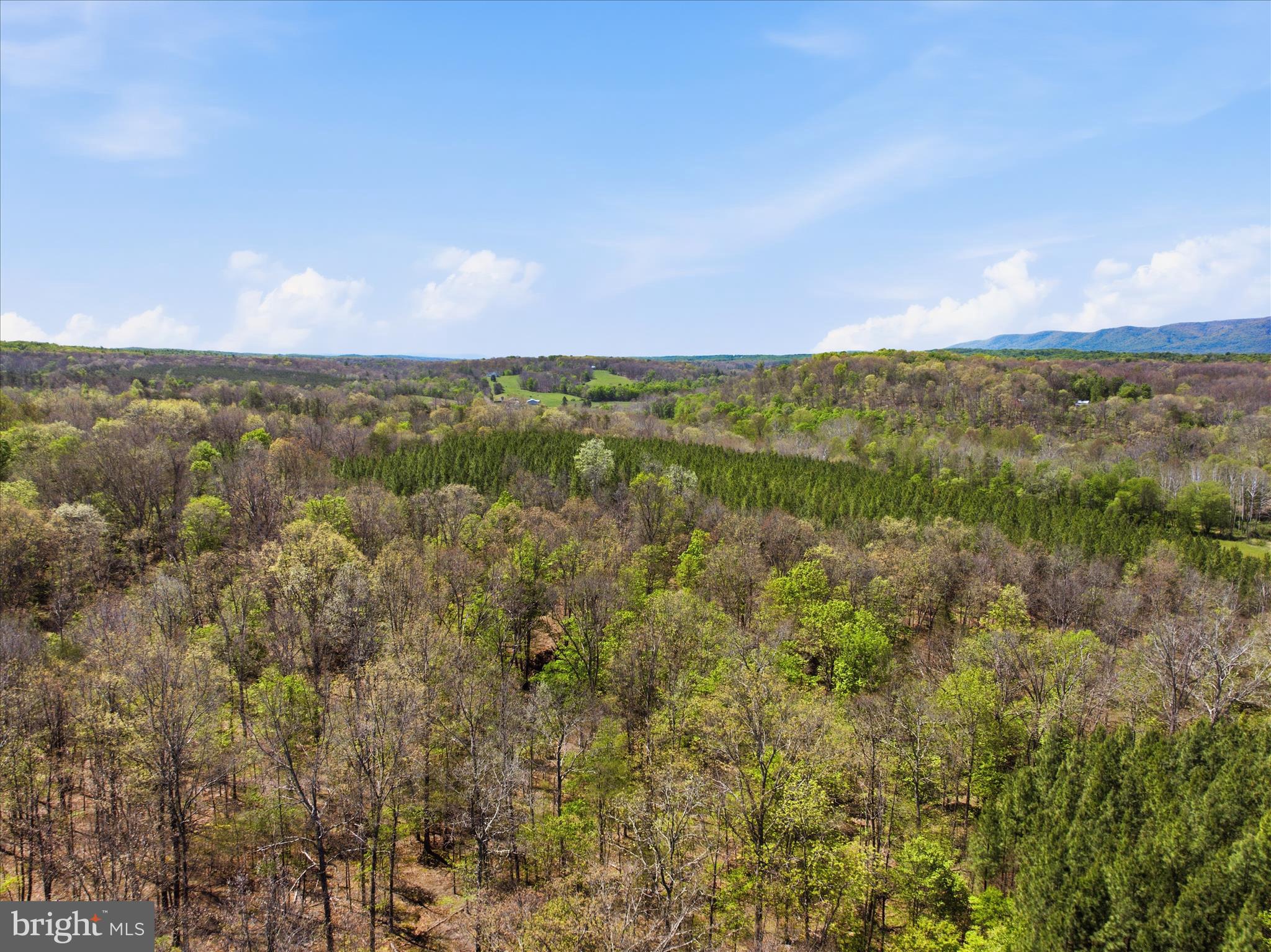 Off Virginia Line Road Berkeley Springs, WV 25411 - Photo 23 of 26 Aerial View 41.2 Acres