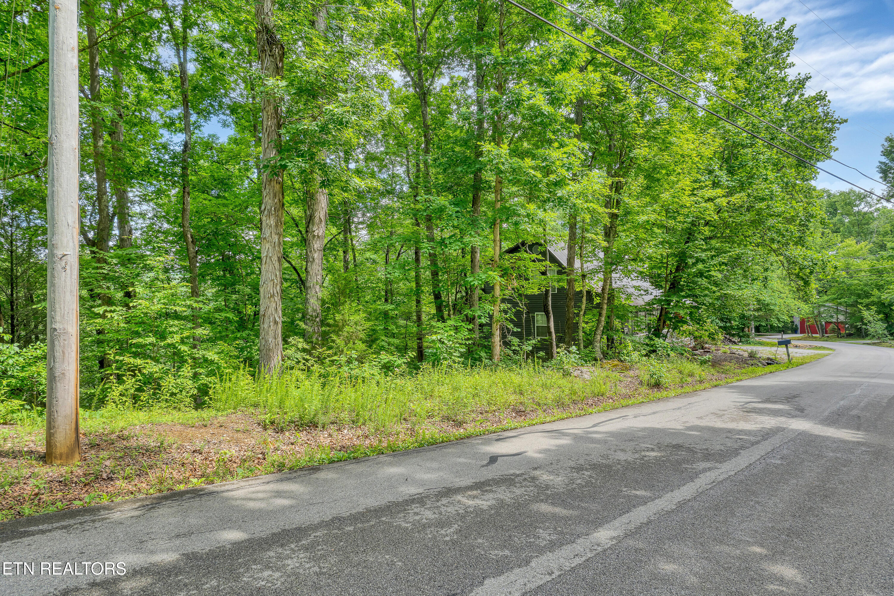424 Laurel Road Townsend, TN 37882 - Photo 2 of 4 DSC01225_14-2