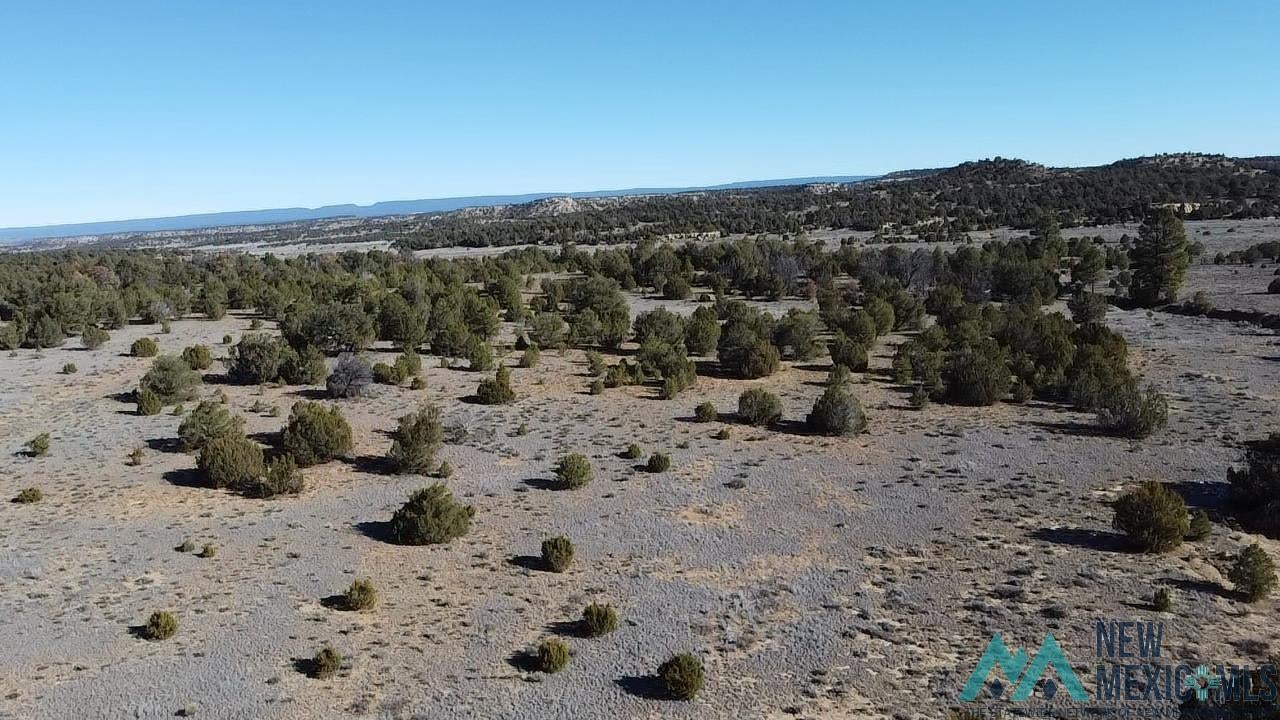 Tbd Arrowhead Road Pinehill, NM 87357 - Photo 7 of 23 View of mountain backdrop