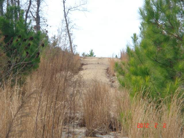 4360 Carthage Road West End, NC 27376 - Photo 1 of 8 Primary Photo