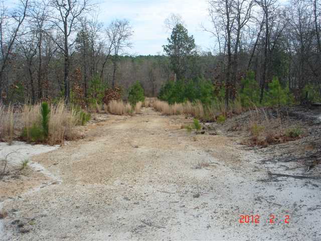 4360 Carthage Road West End, NC 27376 - Photo 2 of 8 Additional Photo