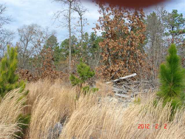 4360 Carthage Road West End, NC 27376 - Photo 5 of 8 Additional Photo