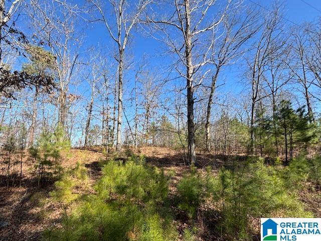 232 Sunset Strip, Unit 14 & 9 & 8 Oneonta, AL 35121 - Photo 8 of 21