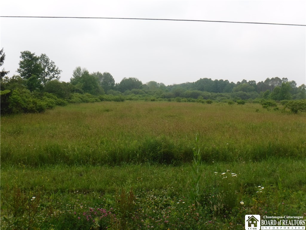 0 Wellman Road Ashville, NY 14710 - Photo 1 of 1 Gallery Image 1