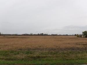 0 Brindle Road, Unit TRACT 17 Ostrander, OH 43061 - Photo 2 of 4