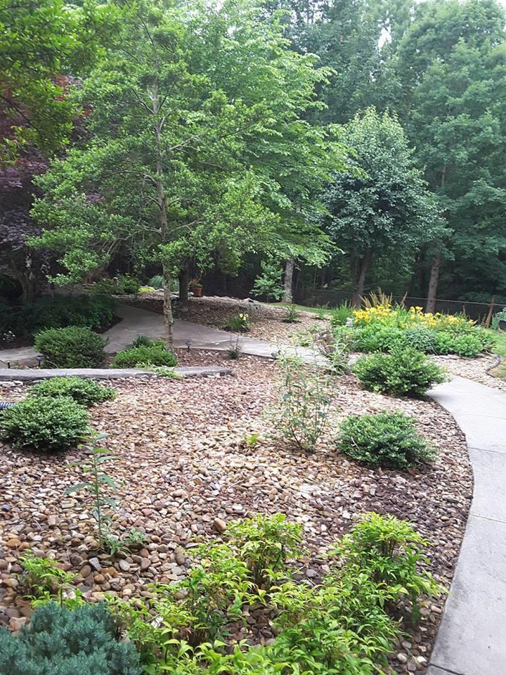 1134 Woodhaven Estates Road Blue Ridge, VA 24064 - Photo 22 of 60 a view of backyard with green space
