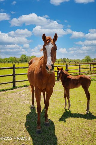 $459,900 | 1238 Montgomery Road, Opelousas, LA 70570