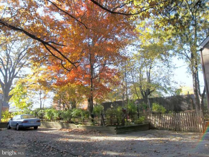 3221 East Joppa Road Baltimore, MD 21234 - Photo 9 of 25 Lots of Parking and Shaded Yard