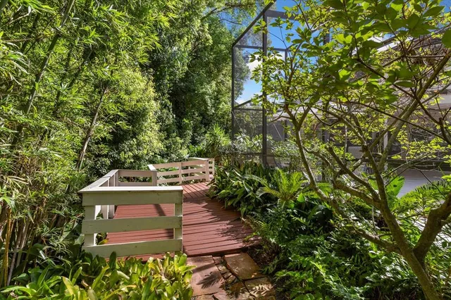 a view of back yard of the house