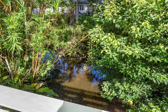 an aerial view of a house with a yard and large trees