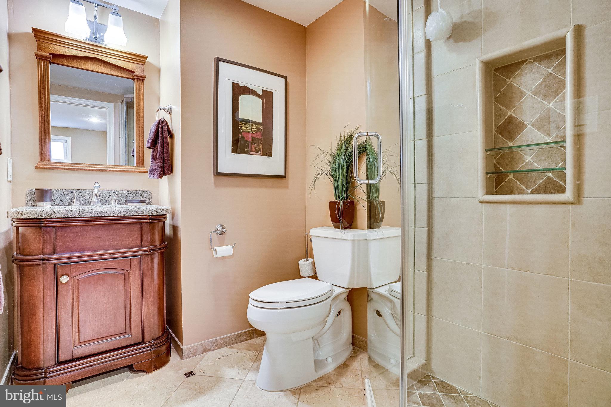 7013 Spur Road Springfield, VA 22153 - Photo 53 of 68 Full Lower Level Bath with Shower
