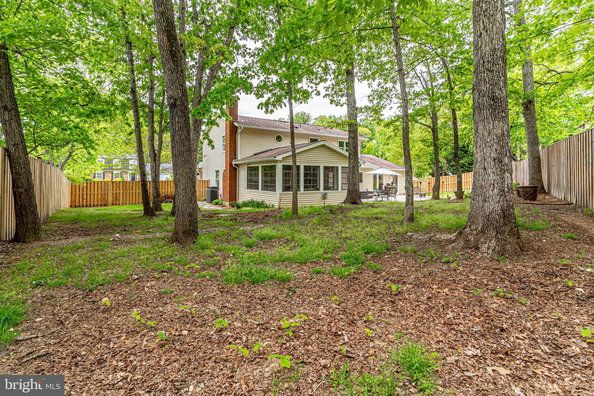 7013 Spur Road Springfield, VA 22153 - Photo 66 of 68 Secluded wooded view