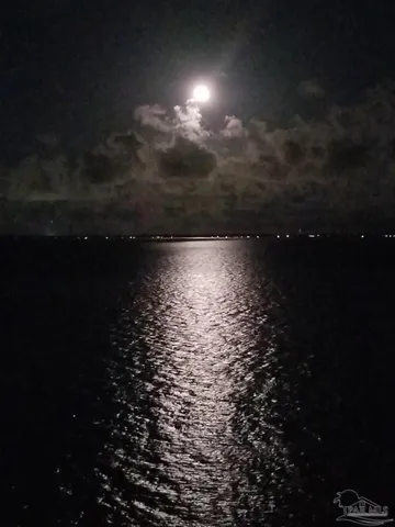 a view of a house with a backyard and a patio