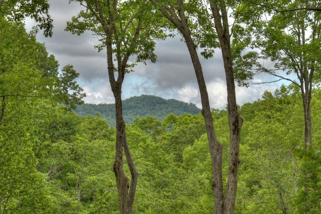 244 Wilderness Way Ellijay, GA 30536 - Photo 2 of 78
