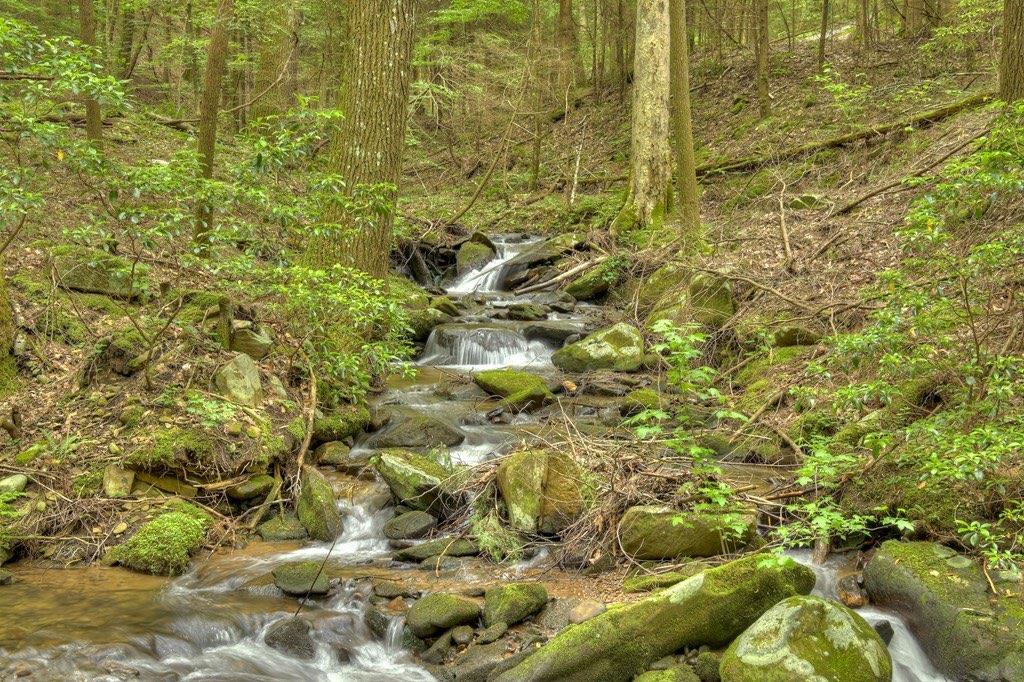 244 Wilderness Way Ellijay, GA 30536 - Photo 58 of 78