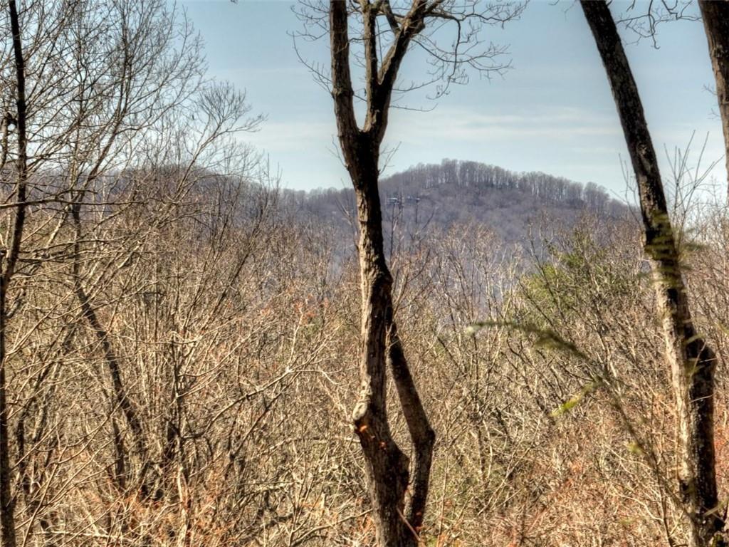 244 Wilderness Way Ellijay, GA 30536 - Photo 61 of 78