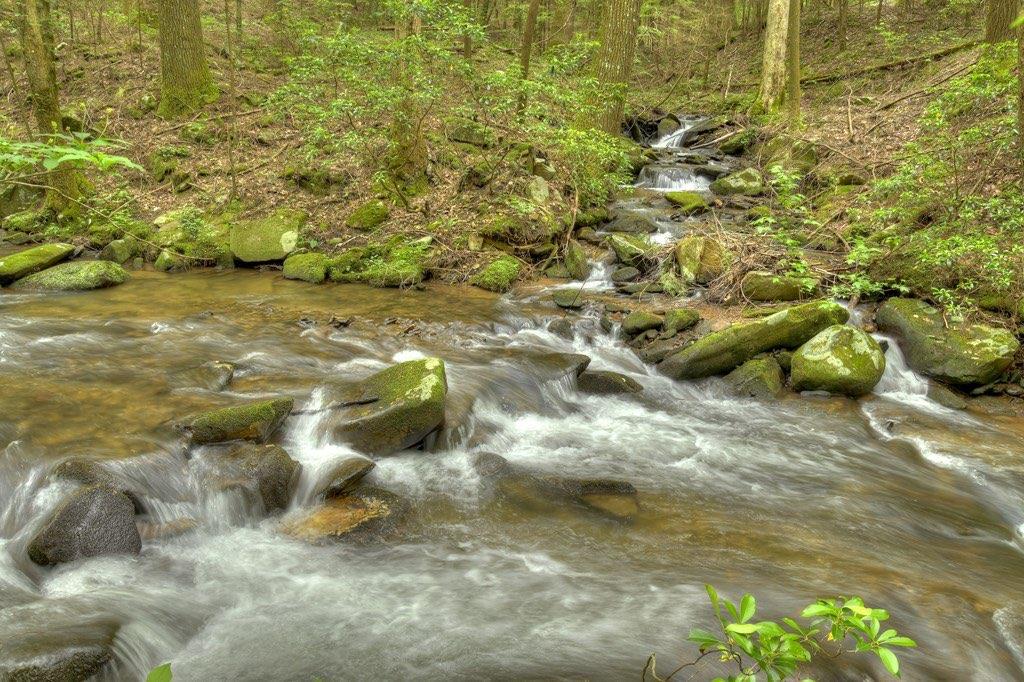 244 Wilderness Way Ellijay, GA 30536 - Photo 74 of 78