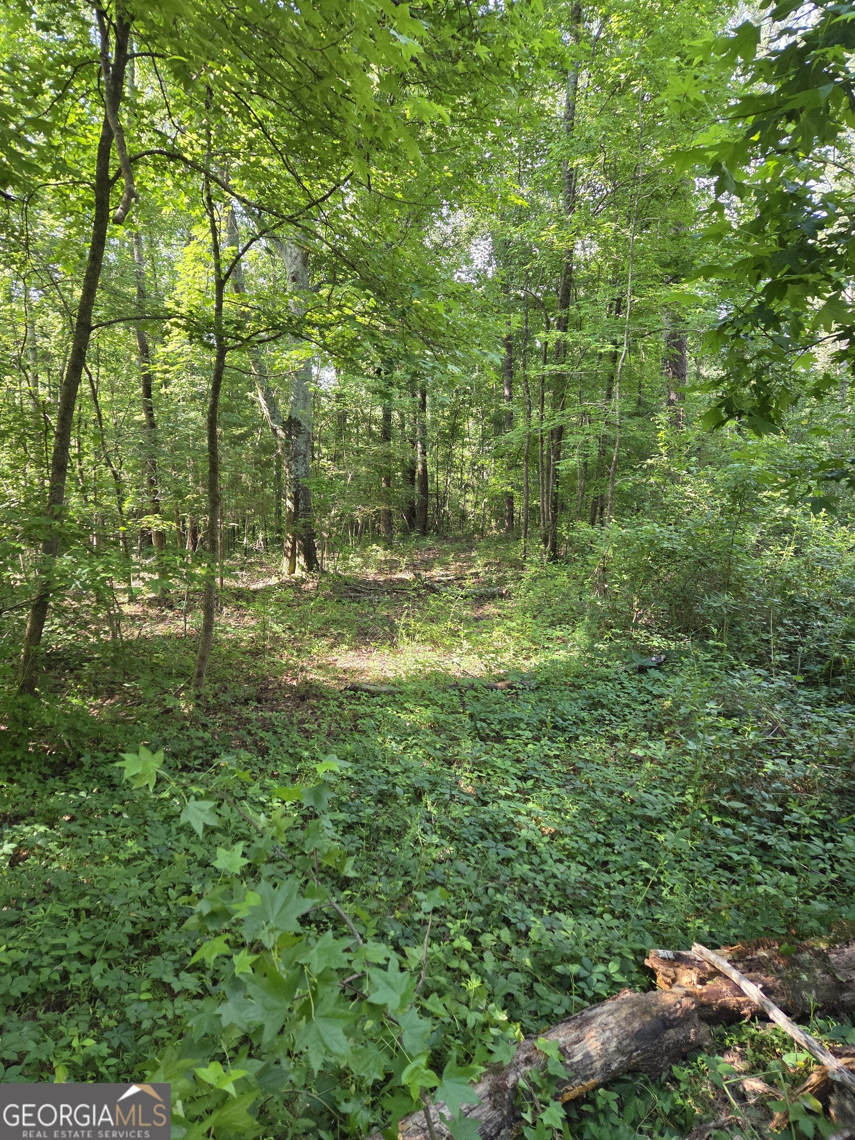 -perkins Road Perkins Road Barnesville, GA 30204 - Photo 5 of 10
