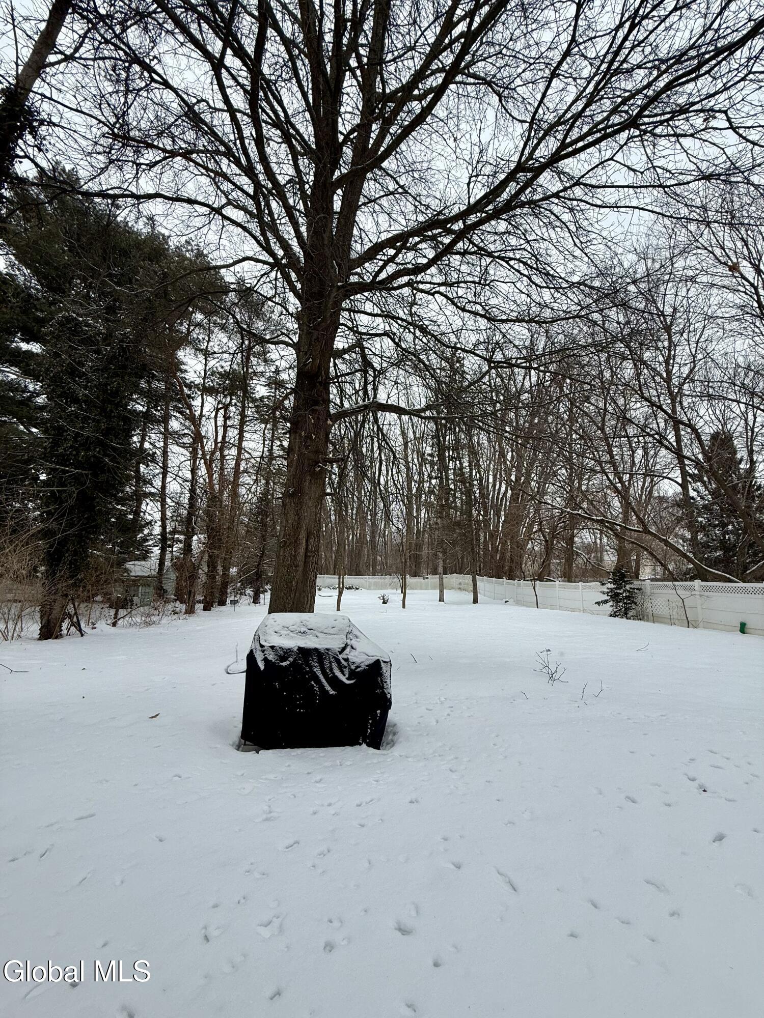 1248 Highbridge Road Rotterdam, NY 12303 - Photo 18 of 18 IMG_4175