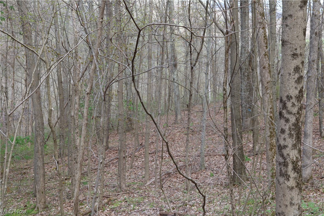 Hootowl Ridge Road Caldwell, OH 43724 - Photo 9 of 30 Gallery Image 9