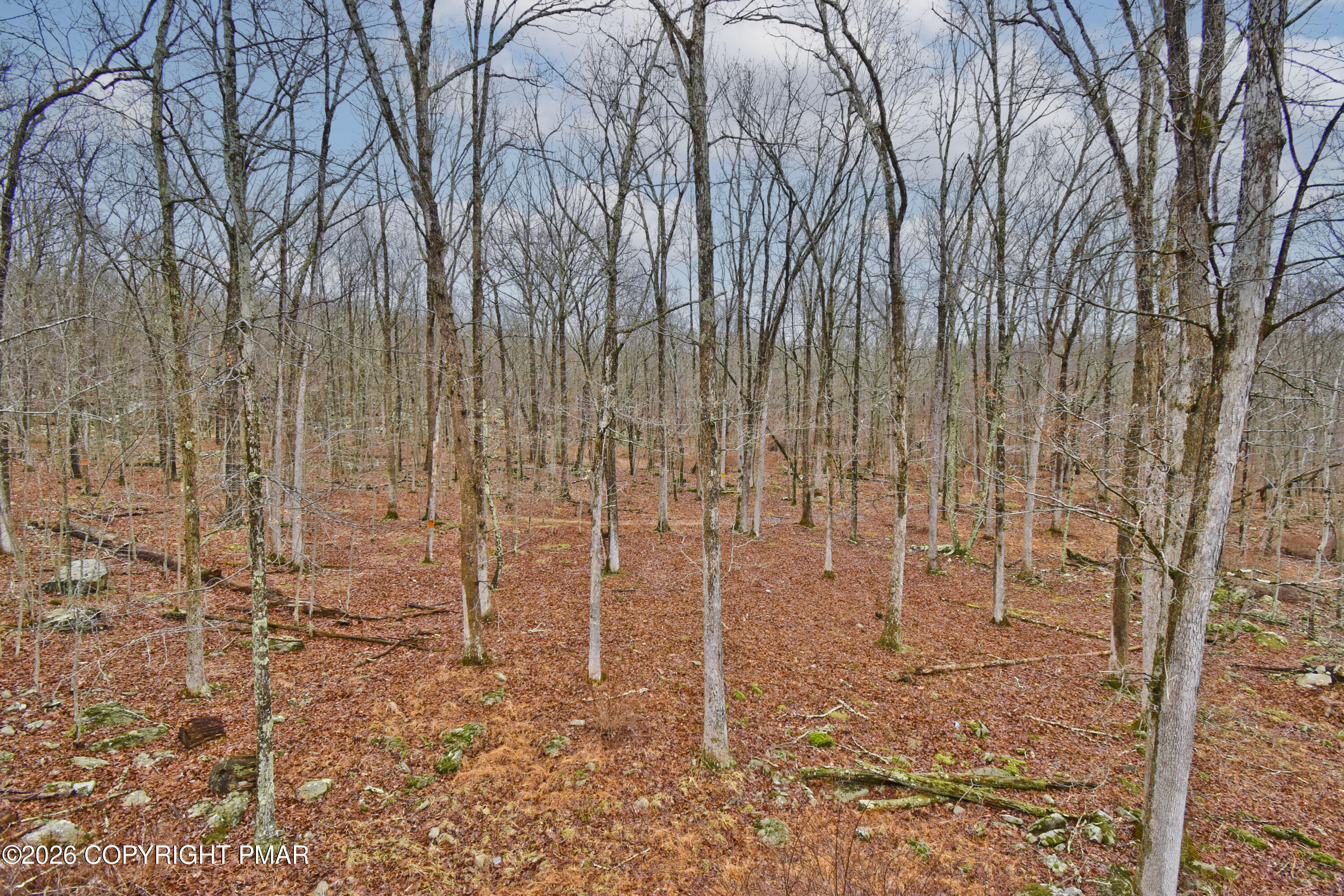 131 Canterbury Road Bushkill, PA 18324 - Photo 50 of 65 a view of a backyard of the house