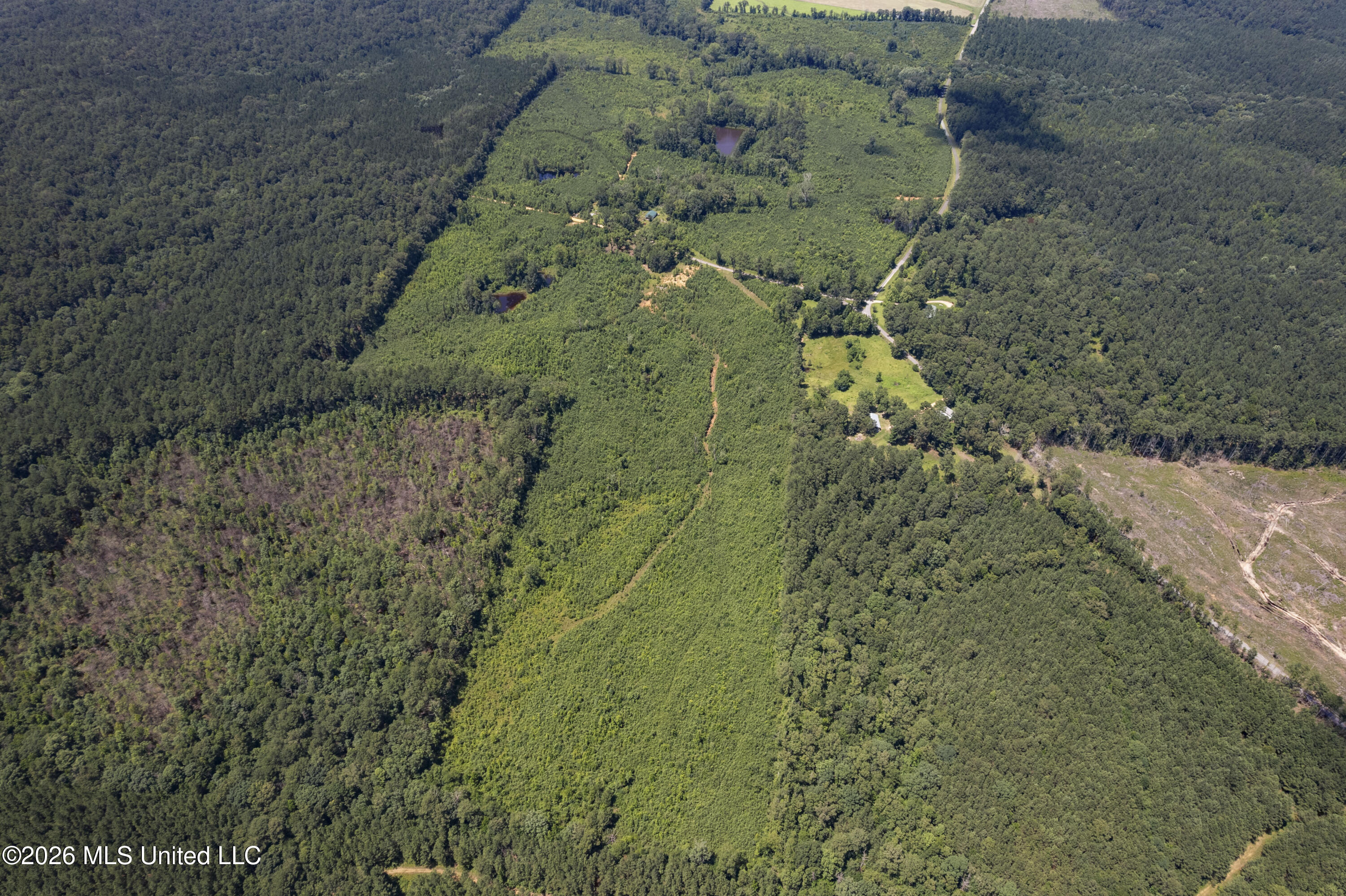 13 Co Road Louin, MS 39338 - Photo 20 of 29 DJI_0321