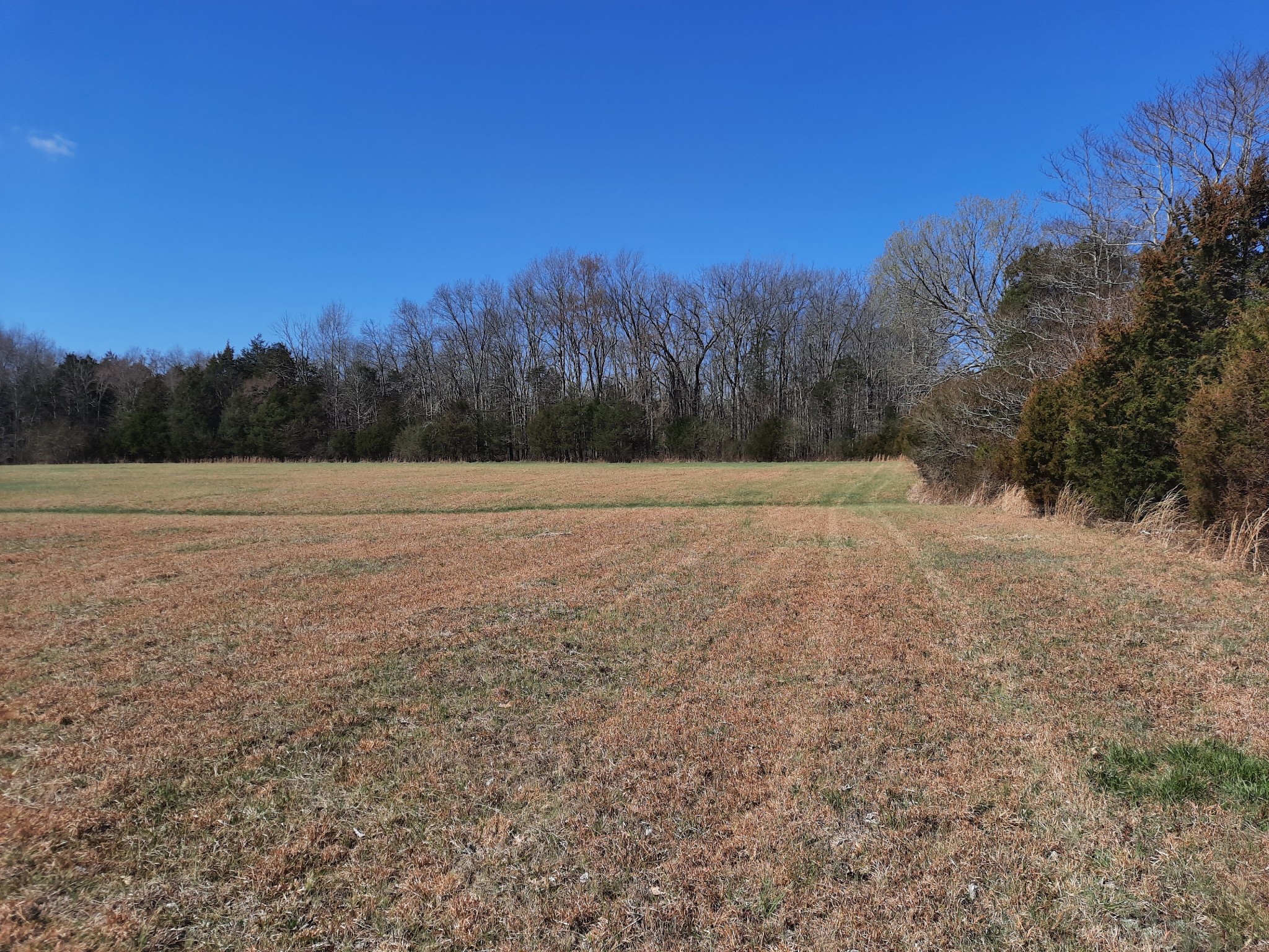 383 Sims Spring Road Shelbyville, TN 37160 - Photo 3 of 14 Gallery Image 3
