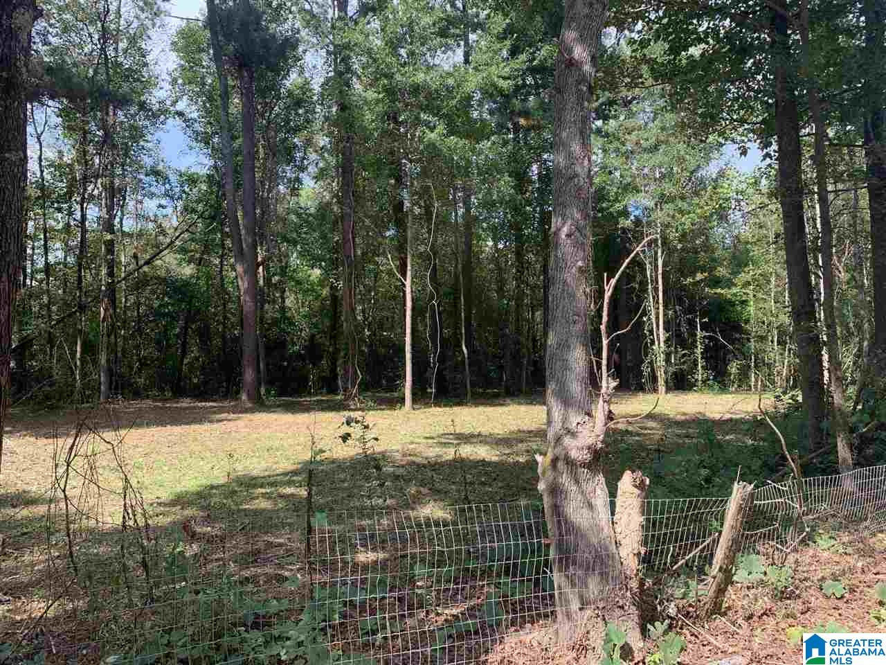 0 Embry Bend Road, Unit 1 Lincoln, AL 35096 - Photo 6 of 15