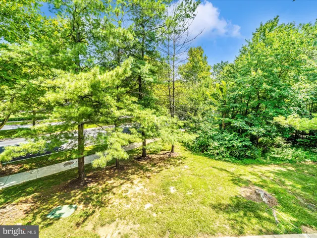 a view of yard with large trees