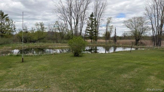 3595 Hutchinson Road North Branch, MI 48461 - Photo 8 of 23