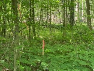 F South Behler Road Ravenna, MI 49451 - Photo 6 of 11 IMG_8907
